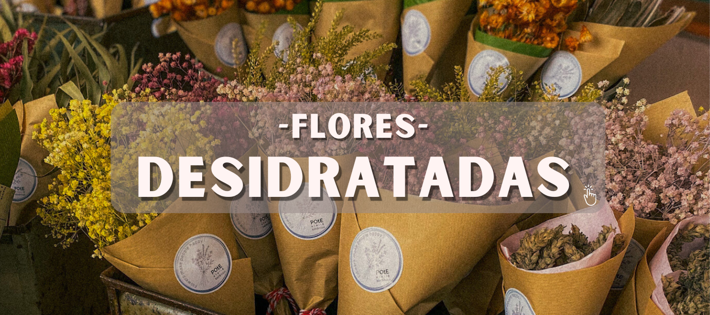 imagem-flores-desidratadas