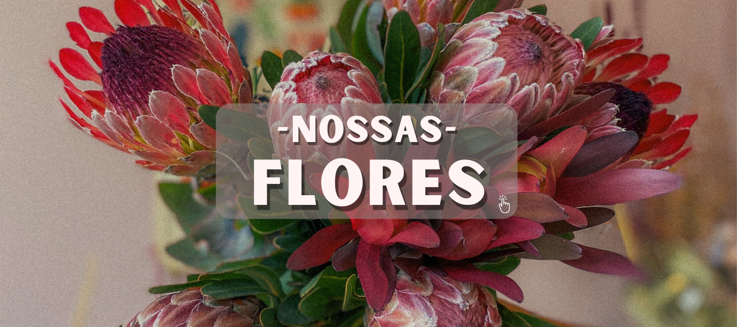 imagem-nossas-flores